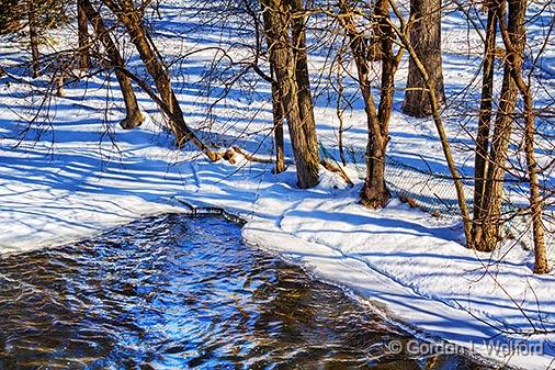 Tay Riverbank_33619.jpg - Photographed along the Tay River at Perth, Ontario, Canada.